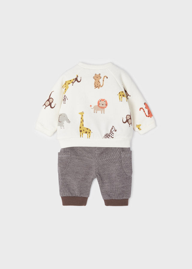 Teddy Set